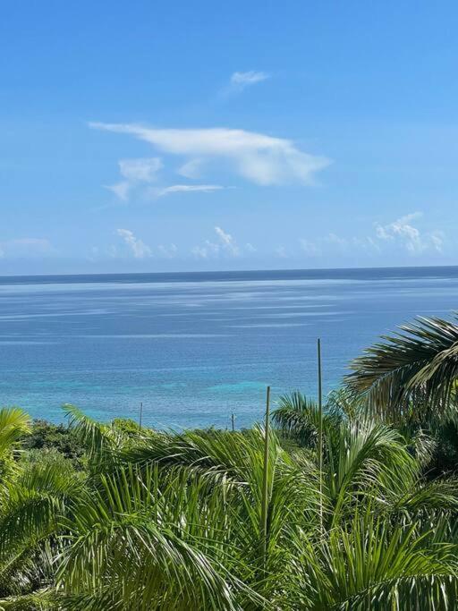 Spring Garden Mobay Resort Luxurious Apartments مونتيغو باي المظهر الخارجي الصورة