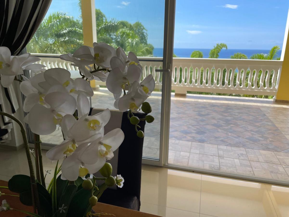 Spring Garden Mobay Resort Luxurious Apartments مونتيغو باي المظهر الخارجي الصورة